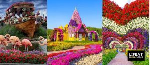 How-to-reach-Dubai-miracle-garden-by-metro-or-bus