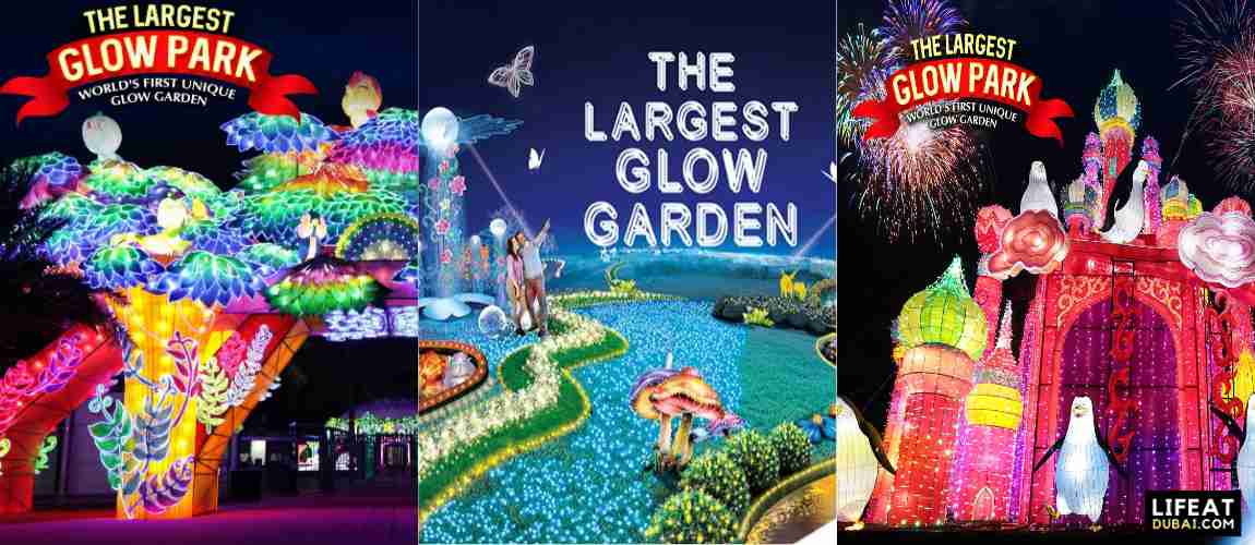 Dubai-garden-glow-Metro-Guide-to-Top-Attraction