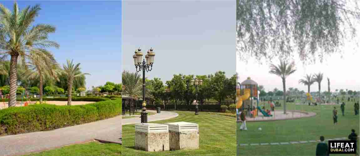 how-to-get-to-ajman-ladies-park-by-metro-or-bus-lifeatdubai