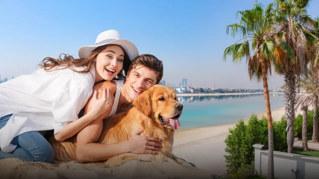 Are Hilton Hotels in Dubai Marina Pet Friendly Find Hilton pet friendly Dubai Marina
